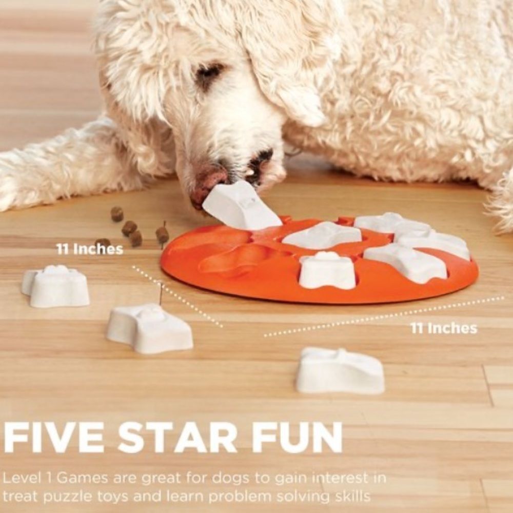 Outward hound Dog Smart Hide, Seek & Treat! skill level 1 puzzle